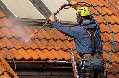 Démoussage et hydrofuge de toiture au Vaudioux